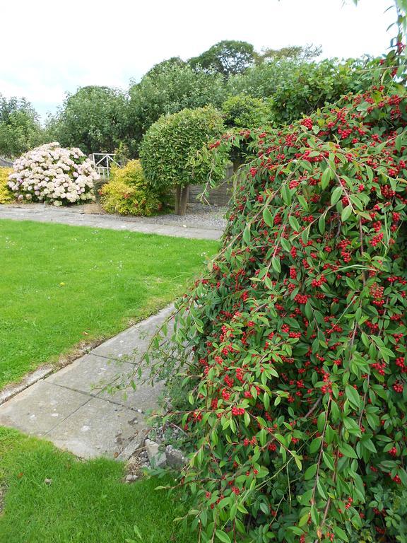 Castlehaven Villa Donaghmore  Exterior photo